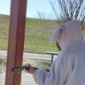 ひとみ 的头像