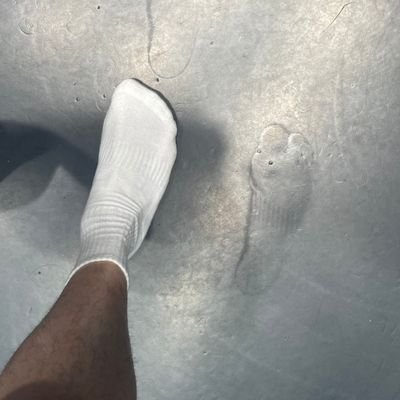 s41612953's profile picture