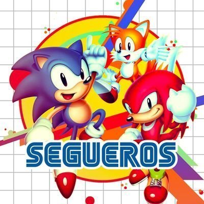 🪩 SEGUEROS's profile picture