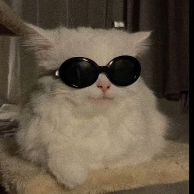 02's profile picture