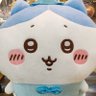 シオ's profile picture