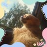 Layla_ny 的头像