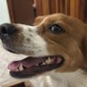Bisnaga's profile picture