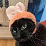 MaeMae's profile picture