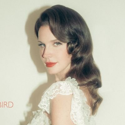 LDR Info!'s profile picture