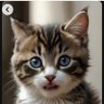 eTany7🐱 profil fotoğrafı