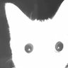 Offshore Oddities𓅣's profile picture
