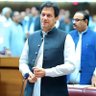 Rizwan Shahzad's profile picture