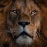 T's profile picture