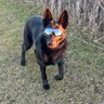 Profilbild von Chuck