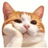 Le chat perché profil fotoğrafı