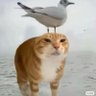bykim profil fotoğrafı
