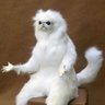 Note 50 profil fotoğrafı