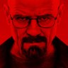 user311's profile picture
