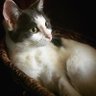 Maria's profile picture