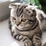 Michelle profil fotoğrafı