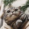 Patricia's profile picture