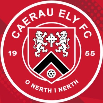 Caerau Ely FC's profile picture