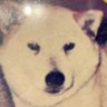 すごいあんぱん 的头像