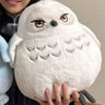 もじエ's profile picture