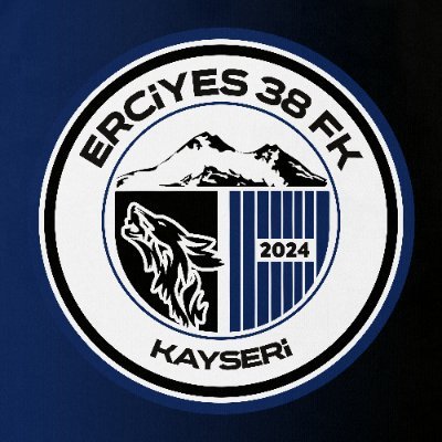 Erciyes38FK's profile picture