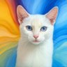 み🐈=♡'s profile picture
