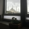 İnci Tekin's profile picture