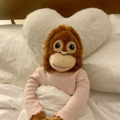 dingdongcouple's profile picture