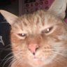 Sharkii ^-^ profil fotoğrafı