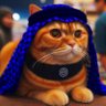 Il Gatto di Aramcödinger⭐⭐ profil fotoğrafı