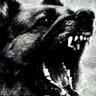 DAWGY's profile picture