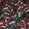 Pauloᶠᶠᶜ 🇭🇺 FLUMINENSE! 🇭🇺 profil fotoğrafı