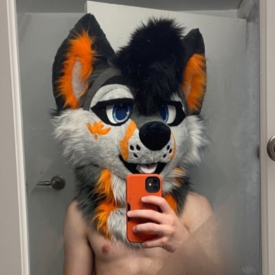 MeowfurshotAD's profile picture