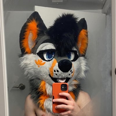 Meowfurshot's profile picture