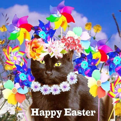 SantasCat's profile picture