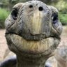 Gamez4Dayz profil fotoğrafı