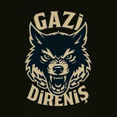 Gazi Direniş's profile picture