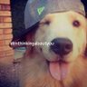 kirisimaw profil fotoğrafı