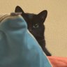 Salem🎬🇵🇸's profile picture