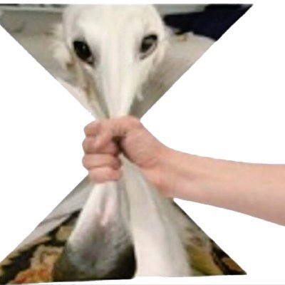 sideowip's profile picture