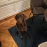 Bruno 的头像