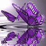 Фото профиля Linav23V🌷🪽