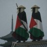 Courage is made in palestine.the rest in china!'s profile picture
