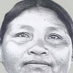 Taquito de Frijol's profile picture