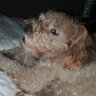 Profilbild von Sophie