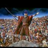 Mets Moses's profile picture