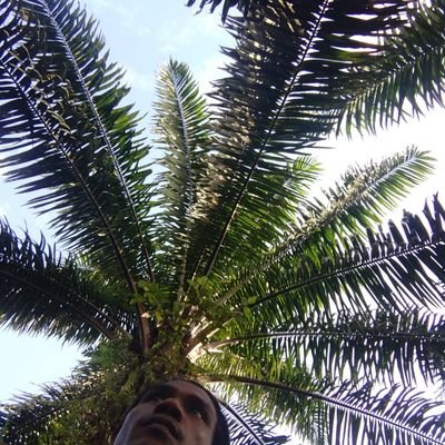 davied soerter's profile picture