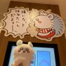 ももちい profil fotoğrafı