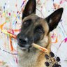 Monkey The Picasso's profile picture