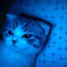 kittie momo :3 profil fotoğrafı